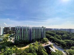 Bidadari Park Drive (D13), Condominium #568200211